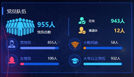 党建系统平台党员队伍情况.jpg